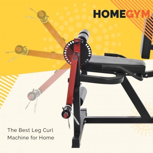 Leg Extension and Curl Machine