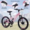 20 Inch Mountain Bike For Girls And Boys