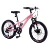 20 Inch Mountain Bike For Girls And Boys