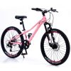 24 Inch Mountain Bike For Girls And Boys