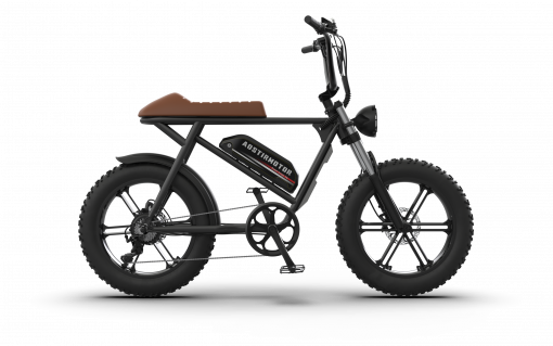 AOSTIRMOTOR STORM 20" Fat Tire Electric Bicycle